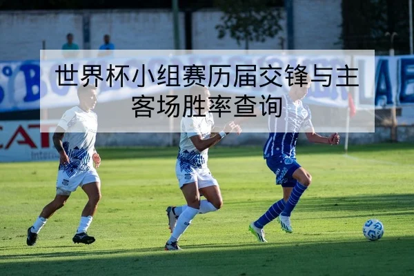世界杯小组赛历届交锋与主客场胜率查询