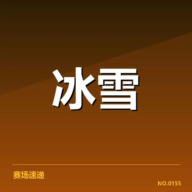 核心运动员表现与成绩